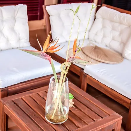 Tropical Private Pool Capellania By Holidays