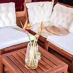 Tropical Private Pool Capellania By Holidays